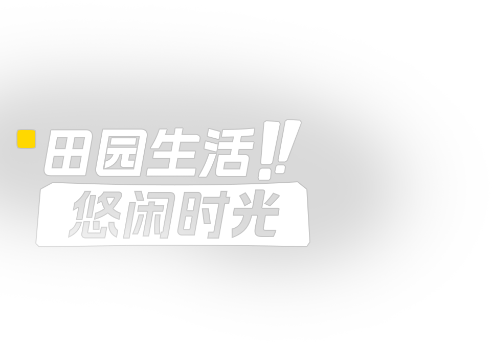 田园生活 悠然时光